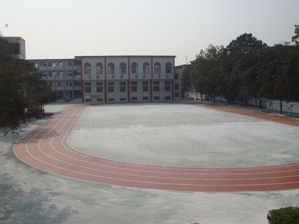 商丘市第六中学塑胶场地 